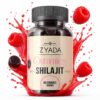 60 gummies met Shilajit - Ziyada