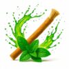 Siwak mit Minzgeschmack - Natürliche Frische und effektive Reinigung